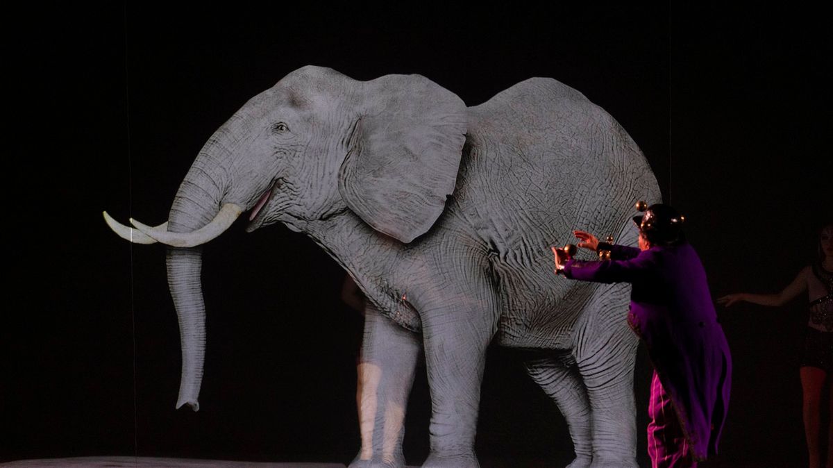 Francouzský cirkus se učil u chytré horákyně. Má a nemá zvířata